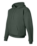 Hanes - Ecosmart® Hooded Sweatshirt - P170