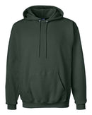 Hanes - Ultimate Cotton® Hooded Sweatshirt - F170