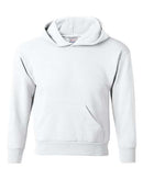 Hanes - Ecosmart® Youth Hooded Sweatshirt - P473