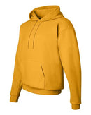 Hanes - Ecosmart® Hooded Sweatshirt - P170 (More Color)