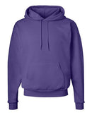 Hanes - Ecosmart® Hooded Sweatshirt - P170 (More Color 2)