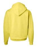 Hanes - Ecosmart® Hooded Sweatshirt - P170 (More Color 2)