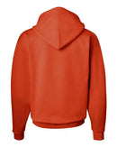 Hanes - Ecosmart® Hooded Sweatshirt - P170 (More Color)
