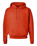 Hanes - Ecosmart® Hooded Sweatshirt - P170 (More Color)
