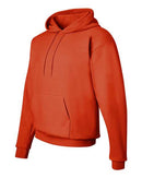 Hanes - Ecosmart® Hooded Sweatshirt - P170 (More Color)