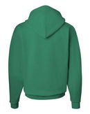 Hanes - Ecosmart® Hooded Sweatshirt - P170 (More Color)