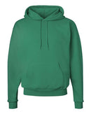 Hanes - Ecosmart® Hooded Sweatshirt - P170 (More Color)