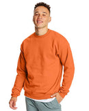 Hanes - Ecosmart® Crewneck Sweatshirt - P160 (More Color 2)
