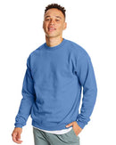 Hanes - Ecosmart® Crewneck Sweatshirt - P160