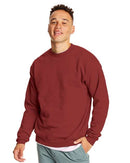 Hanes - Ecosmart® Crewneck Sweatshirt - P160