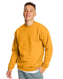 Hanes - Ecosmart® Crewneck Sweatshirt - P160