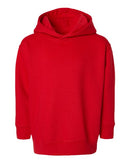 EG PRO Toddler Boy Hoodies Pullover Fleece Sweatshirts - 2 Pack