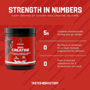 Six Star 100% Creatine Monohydrate Powder for Men & Women, Unflavored