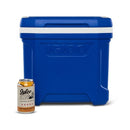 Igloo Profile II 16 Quart Cooler Hard Ice Chest Outdoor Travel Cooler