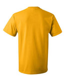 Fruit of the Loom - HD Cotton Short Sleeve T-Shirt - 3930R (More Color)