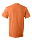 Fruit of the Loom - HD Cotton Short Sleeve T-Shirt - 3930R (More Color 3)