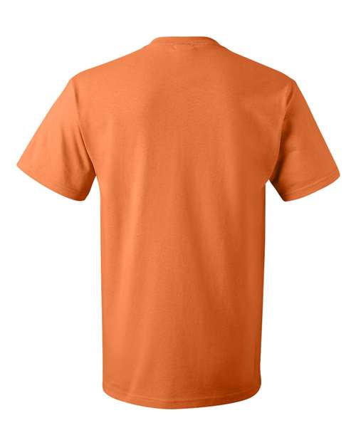 Fruit of the Loom - HD Cotton Short Sleeve T-Shirt - 3930R (More Color 3)