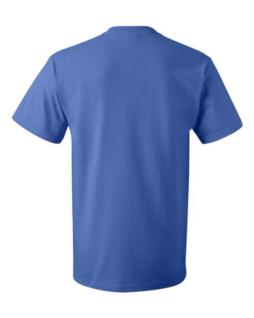 Fruit of the Loom - HD Cotton Short Sleeve T-Shirt - 3930R (More Color 3)