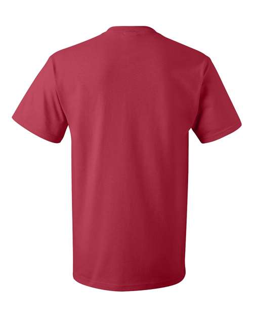 Fruit of the Loom - HD Cotton Short Sleeve T-Shirt - 3930R (More Color 3)