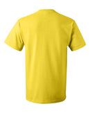 Fruit of the Loom - HD Cotton Short Sleeve T-Shirt - 3930R (More Color 3)