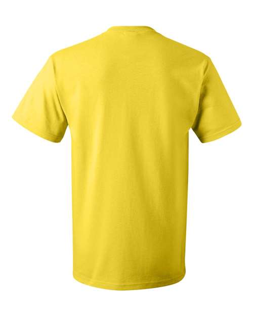 Fruit of the Loom - HD Cotton Short Sleeve T-Shirt - 3930R (More Color 3)