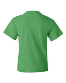 Fruit of the Loom - HD Cotton Youth Short Sleeve T-Shirt - 3930BR (More Color)