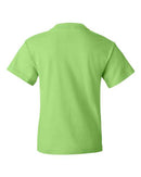 Fruit of the Loom - HD Cotton Youth Short Sleeve T-Shirt - 3930BR (More Color)