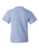 Fruit of the Loom - HD Cotton Youth Short Sleeve T-Shirt - 3930BR (More Color)