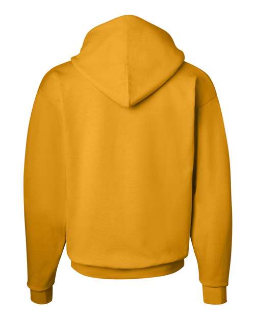 Hanes - Ecosmart® Hooded Sweatshirt - P170 (More Color)