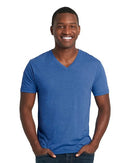 Next Level - Triblend Short Sleeve V - 6040