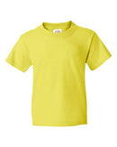 Fruit of the Loom - HD Cotton Youth Short Sleeve T-Shirt - 3930BR (More Color)