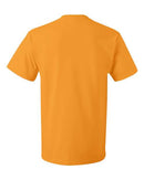 Fruit of the Loom - HD Cotton Short Sleeve T-Shirt - 3930R (More Color 3)