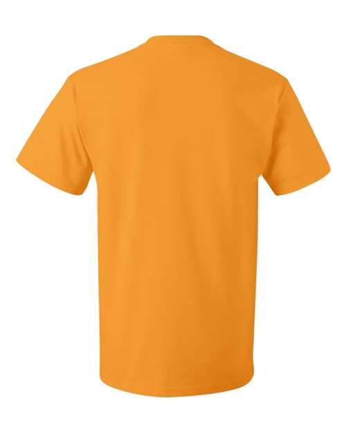 Fruit of the Loom - HD Cotton Short Sleeve T-Shirt - 3930R (More Color 3)