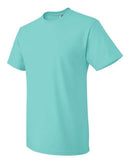 Fruit of the Loom - HD Cotton Short Sleeve T-Shirt - 3930R (More Color 3)