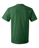 Fruit of the Loom - HD Cotton Short Sleeve T-Shirt - 3930R (More Color)