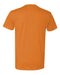 Next Level - Unisex CVC Short Sleeve Crew - 6210 (More Color)