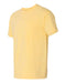 Comfort Colors - Garment-Dyed Heavyweight T-Shirt - 1717