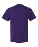 Fruit of the Loom - HD Cotton Short Sleeve T-Shirt - 3930R (More Color)