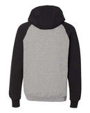 Russell Athletic - Dri Power® Colorblock Raglan Hooded Sweatshirt - 693HBM