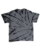 Dyenomite - Sidewinder Tie-Dyed T-Shirt - 200SW