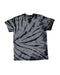 Dyenomite - Sidewinder Tie-Dyed T-Shirt - 200SW