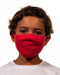 Next Level - Youth Face Mask - M101